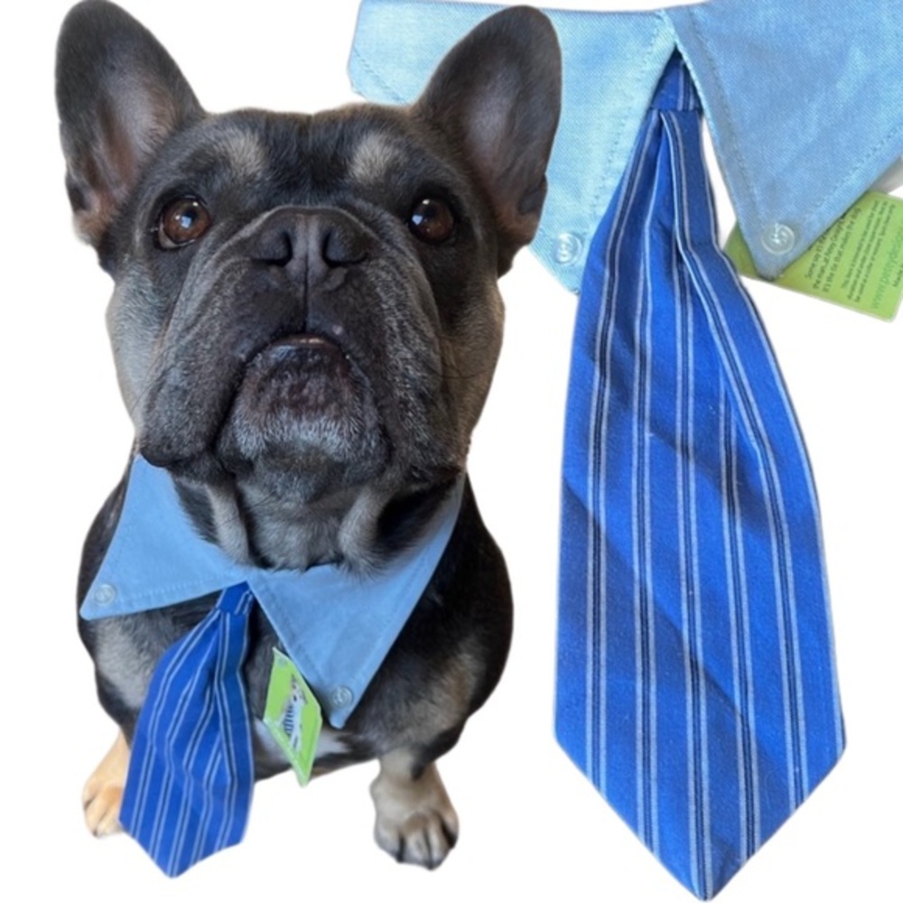Dog tie -stripes (medium 15-19”)